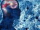 What is a scientific theory?