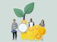 Seed Funding: Types and Advantages