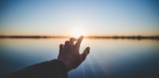 Simplify Your Life by Diving into the Most Important Thing