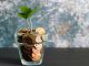 Role of Social Media In Start-Up Funding