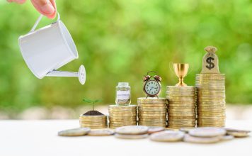 What are Sustainability Bonds?