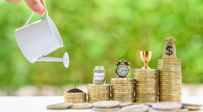 What are Sustainability Bonds?
