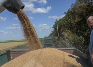 What’s Going on With Ukraine’s Grain Exports?