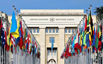 What Is Wrong With the UN?