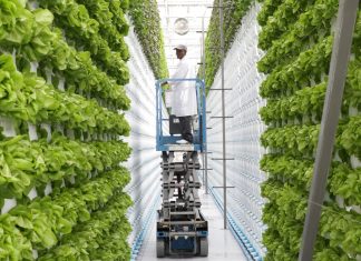 How far can vertical farming go?