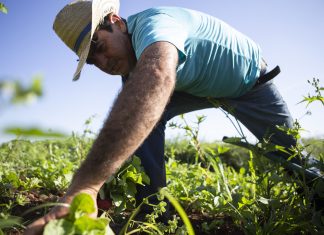 The Essential Work of Farmers